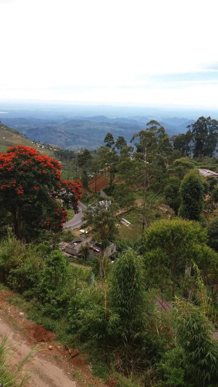 The Bawa'S Guest House Haputale Exterior photo